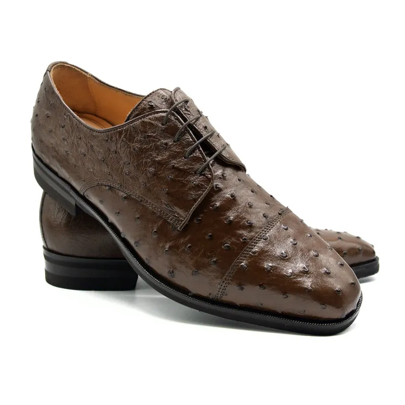 Andrea Ostrich Quill Lace Up in Brown by Zelli Italia