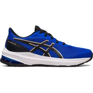 Asics GT 1000 12 GS Junior Running Shoes - Blue