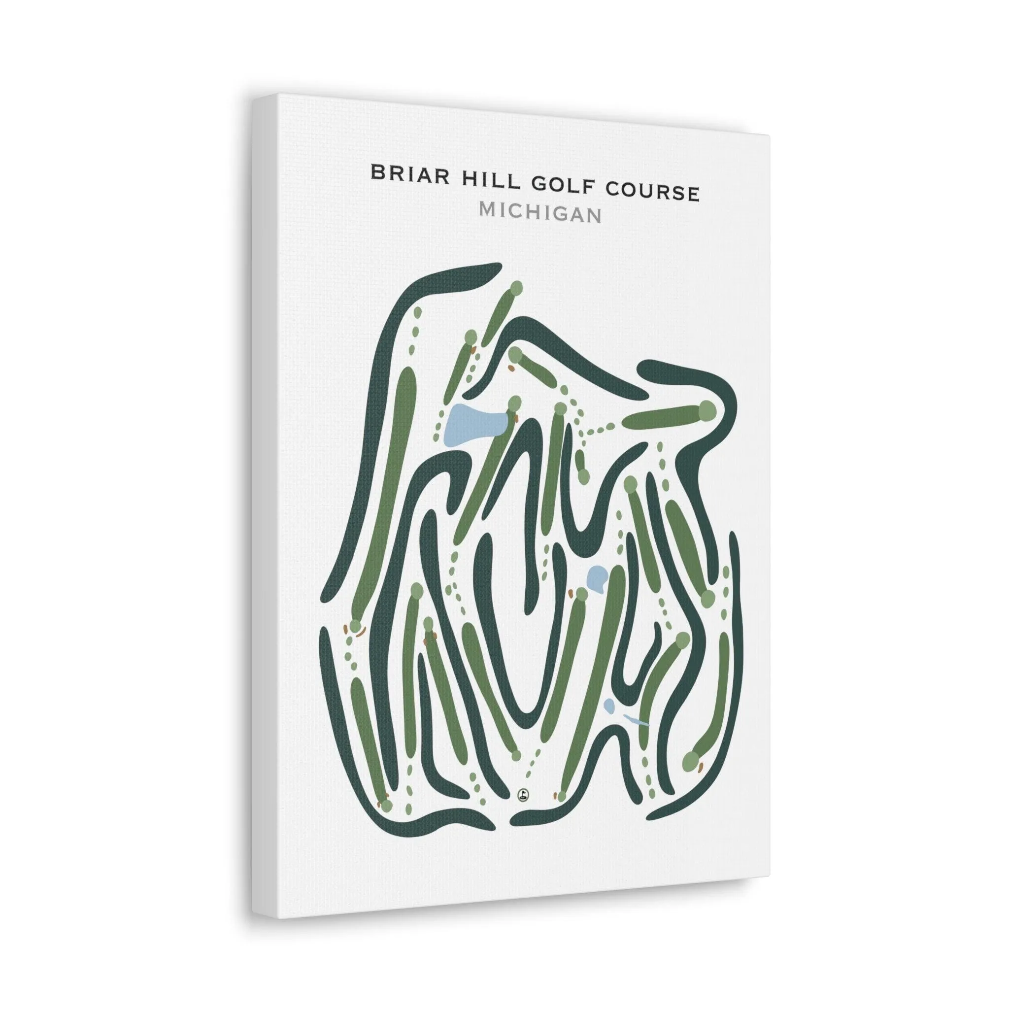 Briar Hill Golf Course, Michigan - Printed Golf Courses