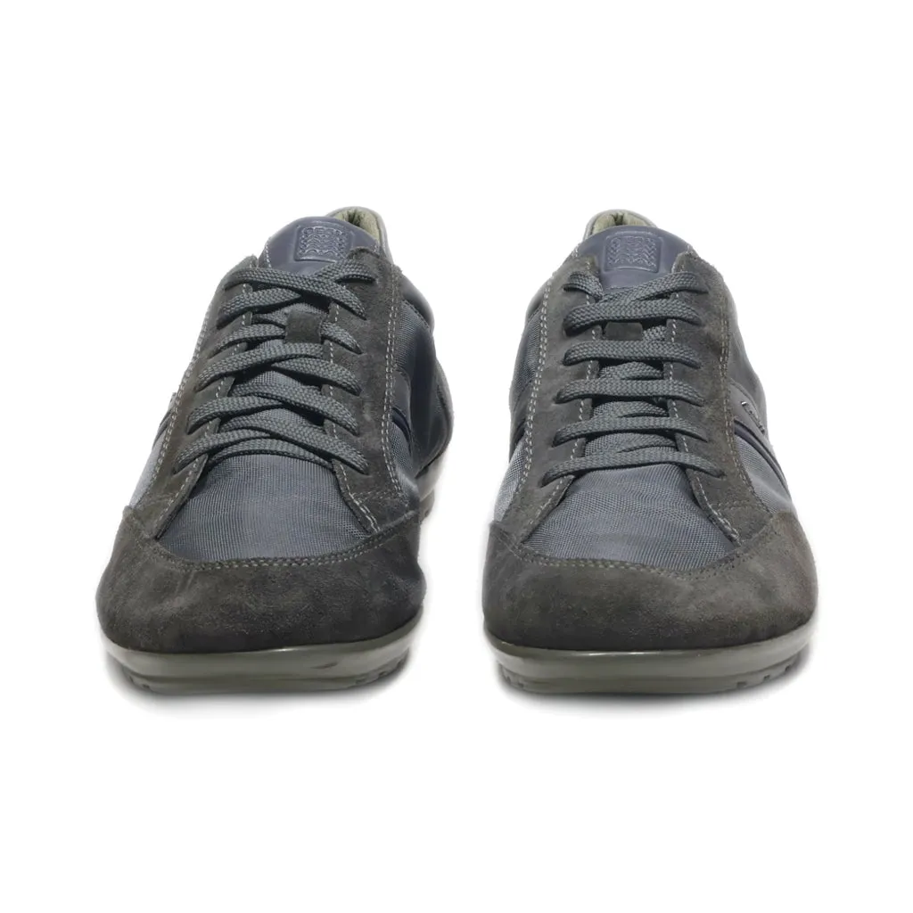 Geox Casual Lace Ups Suede Grey Colour For Men