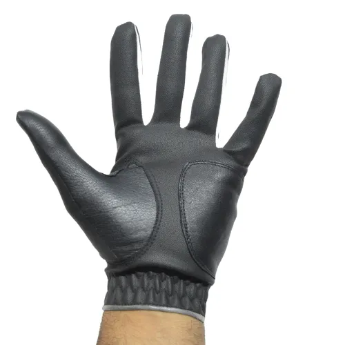 GolfBasic 2.0 All Weather Golf Glove