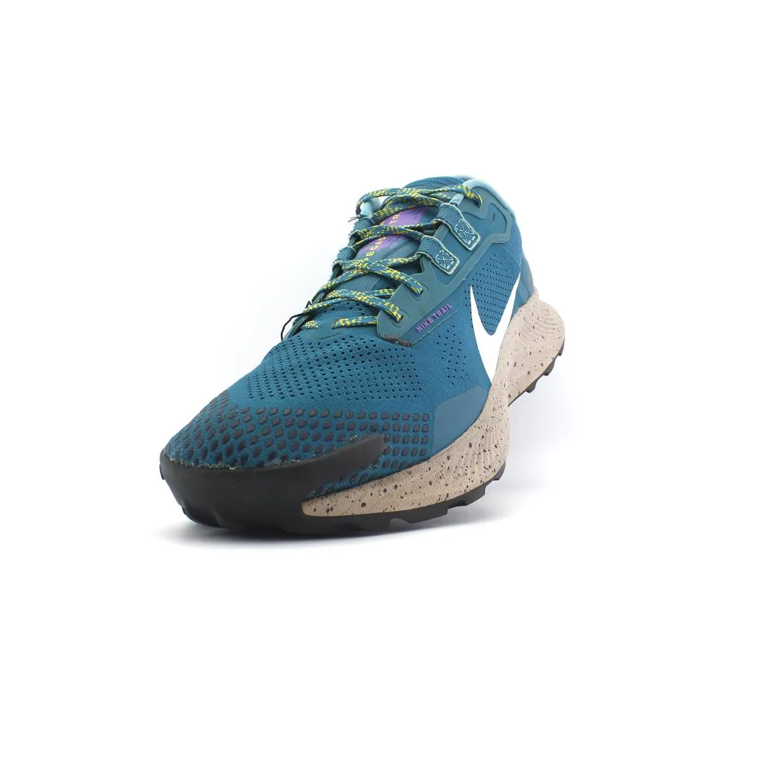 NIKE PEGASUS TRAIL 3