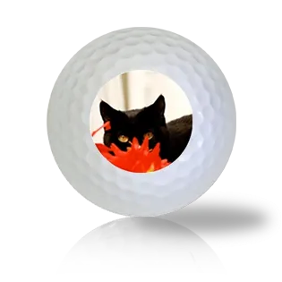 Ninja Cat Golf Balls