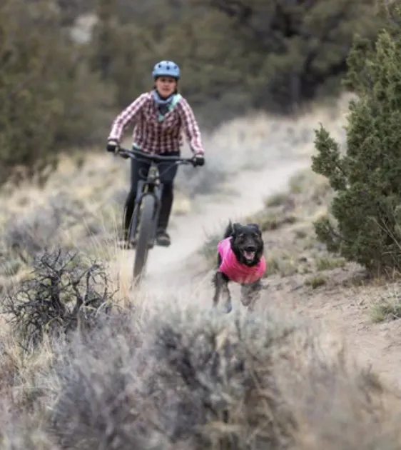 Ruffwear Hi & Light™ Trail Dog Shoes (River Rock Green)